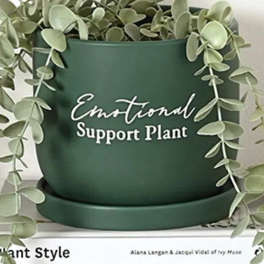 Emotional Support Planter with Tray