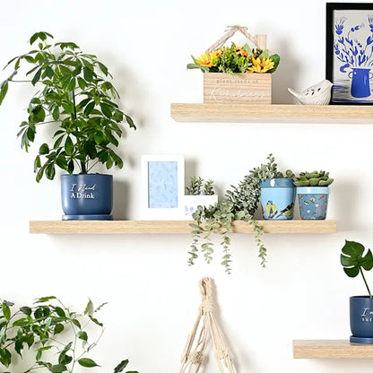 I Need A Drink Planter with Tray